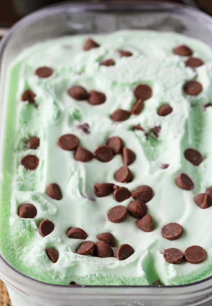 Mint Chocolate Chip Ice Cream - A minty, creamy, and sweet homemade ice cream recipe perfect for summer. No churn needed!