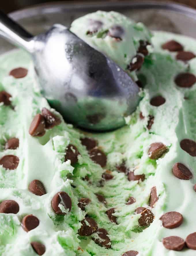 Mint Chocolate Chip Ice Cream - A minty, creamy, and sweet homemade ice cream recipe perfect for summer. No churn needed!