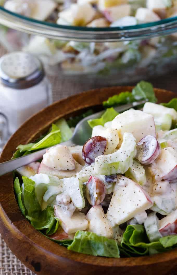 Waldorf Salad - The famous salad from the Waldorf-Astoria Hotel! It's loaded with fruit and nuts in a creamy, tangy dressing.