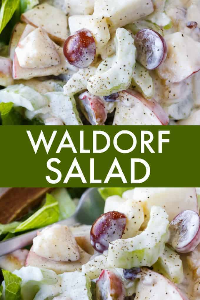 Waldorf Salad - The famous salad from the Waldorf-Astoria Hotel! It's loaded with fruit and nuts in a creamy, tangy dressing.