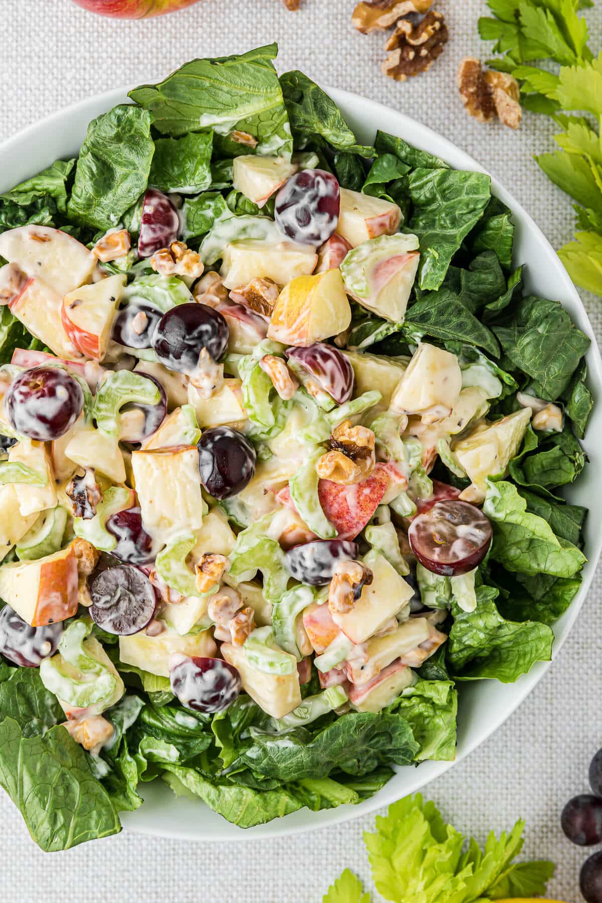 A bowl of Waldorf Salad.