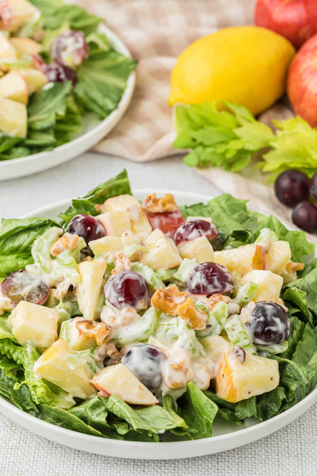 A plate of Waldorf Salad.