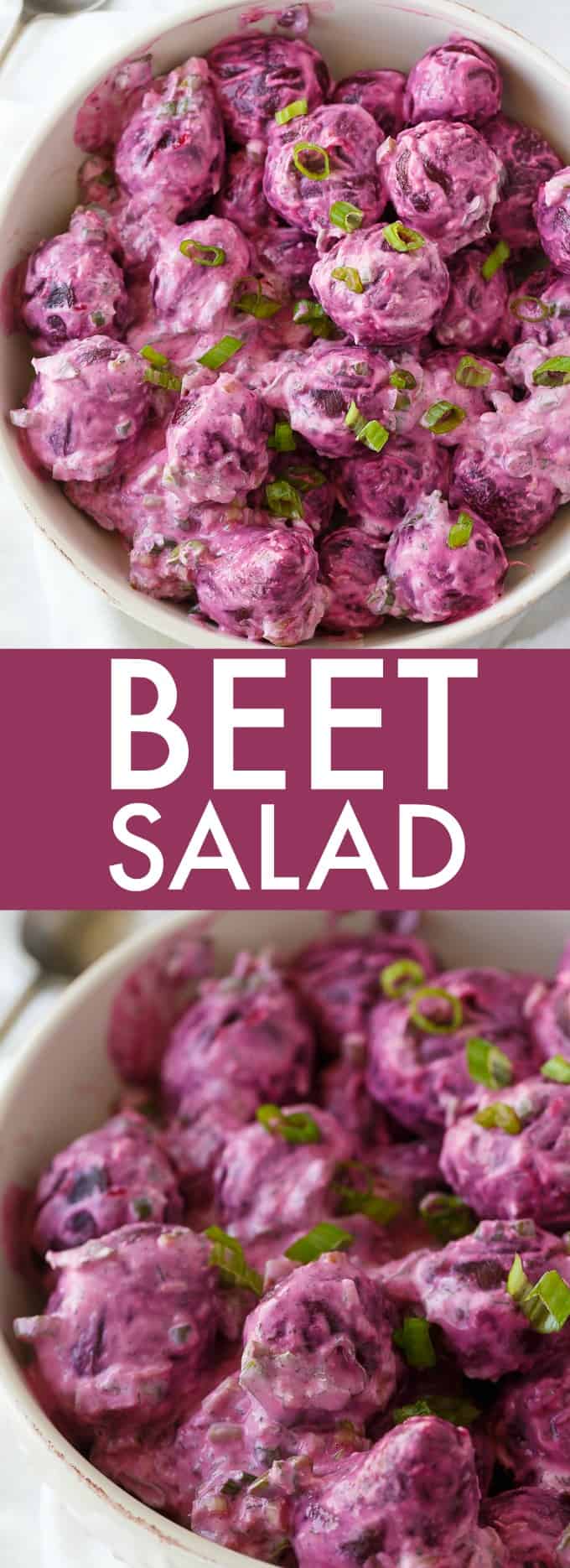 Beet Salad - The most beautiful vegetable salad! These pickled beets and green onions are surrounded by a creamy horseradish dressing and dill for an amazing side dish.