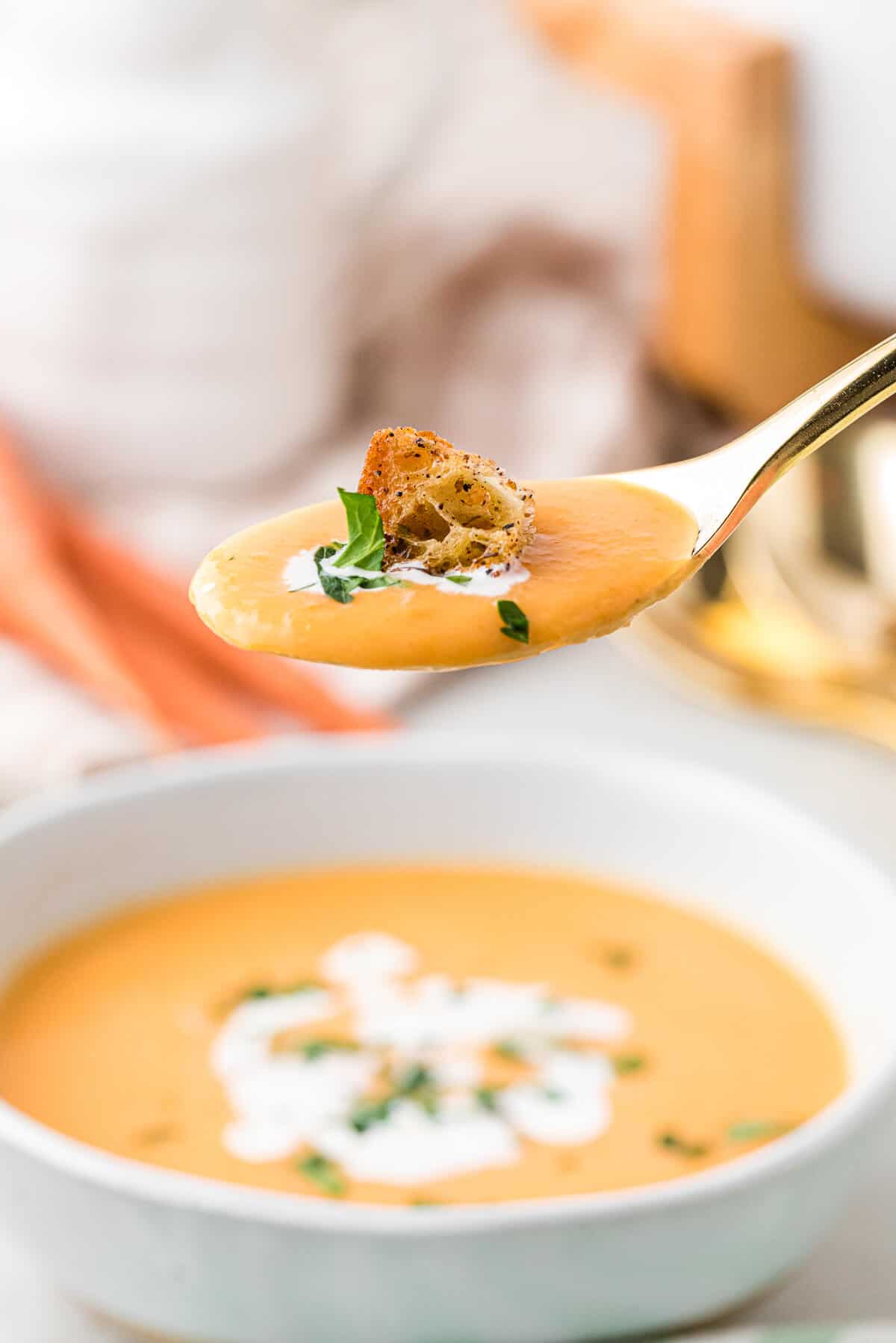 A spoon with cream of carrot soup on it.