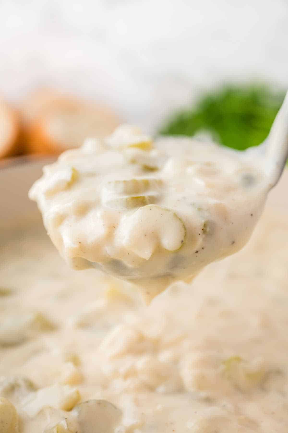 Cream of celery soup in a ladle.