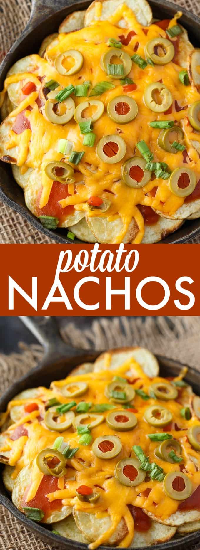Potato Nachos - Crispy, flavorful potatoes loaded with taco sauce, green olives, green onions and lots of melty cheddar cheese. The perfect appetizer!