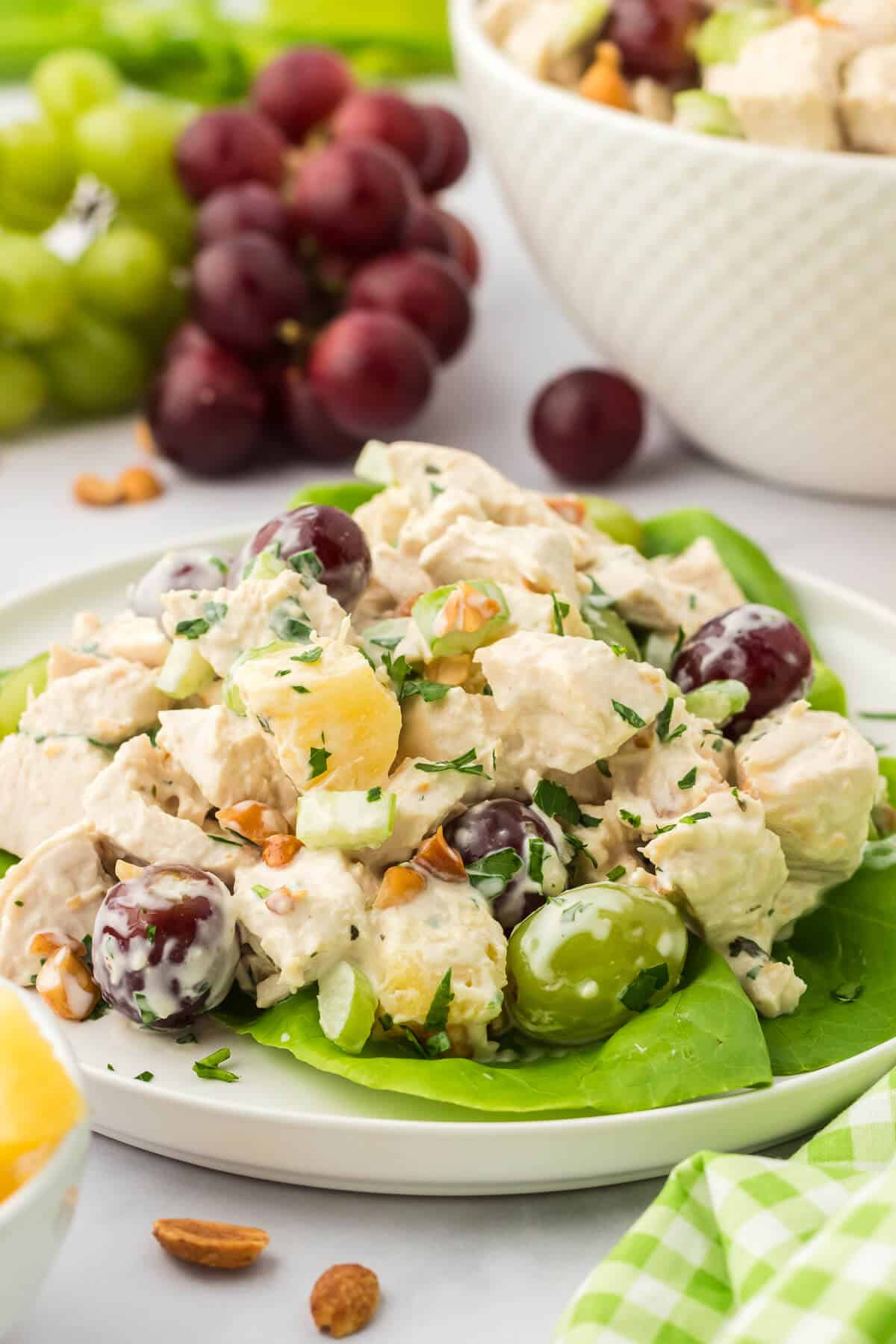 Chicken salad with grapes on a bed of lettuce.