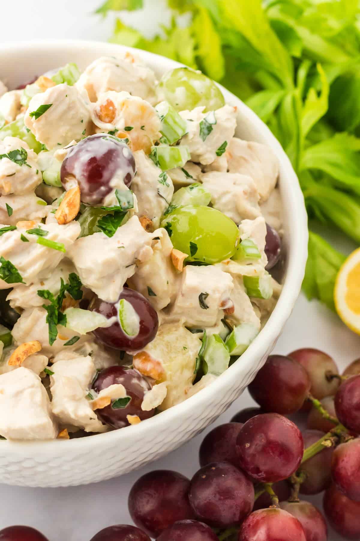 A bowl of chicken salad with grapes.