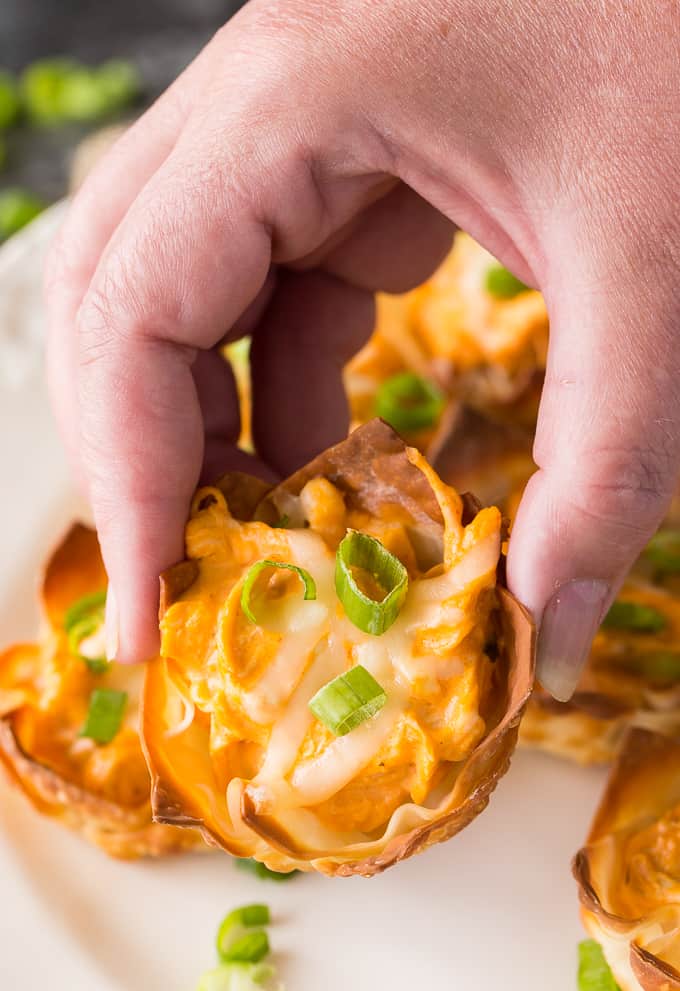 Buffalo Chicken Wonton Cups 