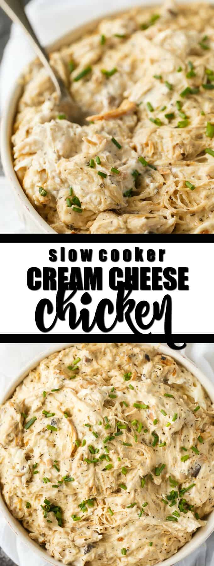 Slow Cooker Cream Cheese Chicken - Hearty and comforting! This shredded chicken in the Crockpot simmers all day in a luscious cream cheese sauce with Italian seasoning, garlic, celery seed, and cream of mushroom soup.