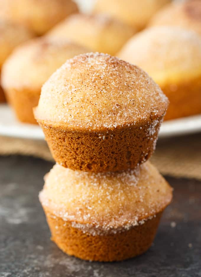 Sugar and Spice Muffins - These cake-like muffins are the perfect treat with a tea or coffee. Enjoy the yummy Snickerdoodle flavors with a cinnamon and sugar topping.