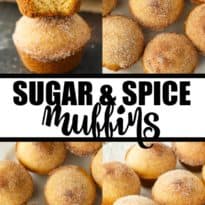 Sugar & Spice Muffins - These cake-like muffins are the perfect treat with a tea or coffee. Enjoy the yummy Snickerdoodle flavors with a cinnamon and sugar topping.