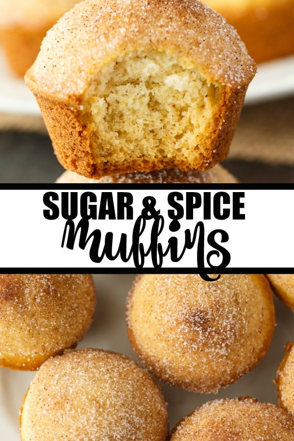 Sugar and Spice Muffins - These cake-like muffins are the perfect treat with a tea or coffee. Enjoy the yummy Snickerdoodle flavors with a cinnamon and sugar topping.