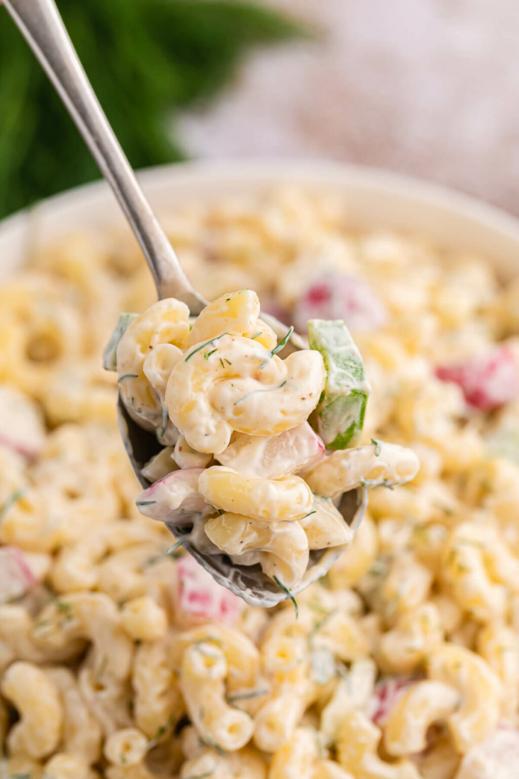 Macaroni Dill Salad {So Creamy!} Simply Stacie