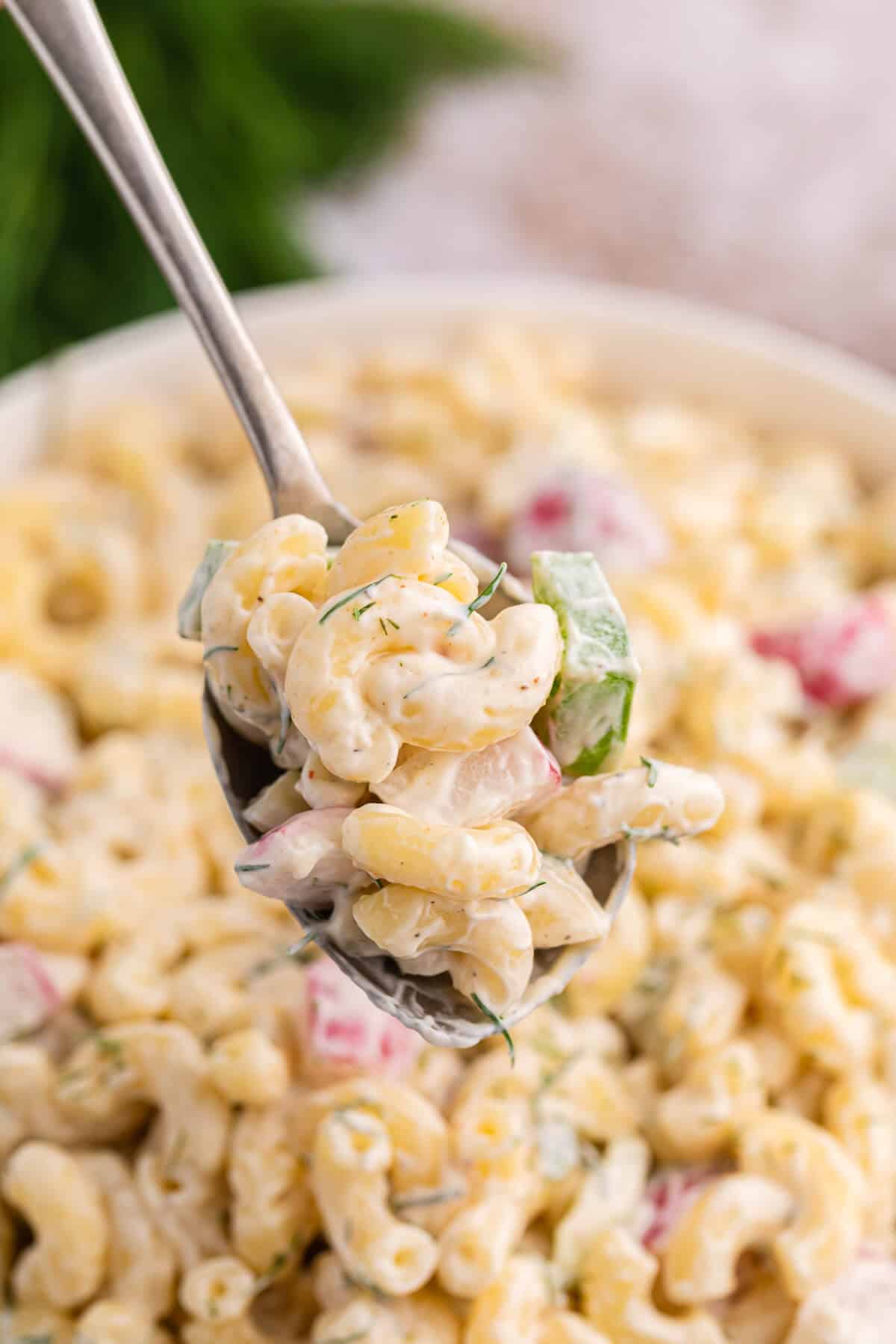 A spoon with macaroni dill salad.