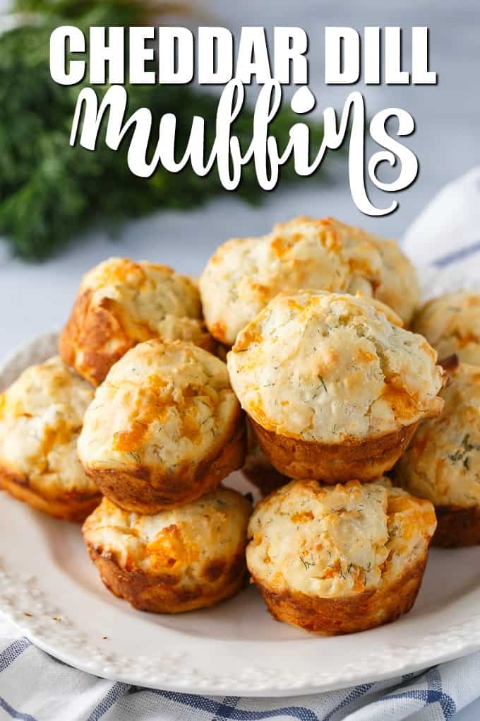 Cheddar Dill Muffins - A delicious savory muffin perfect for breakfast or a quick snack. They are dense and moist with the perfect hint of dill.