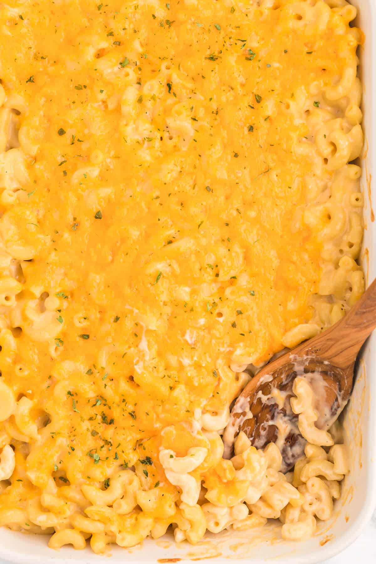 Baked Macaroni and Cheese - This old-fashioned classic recipe is a family favorite dinner and so easy to make. Tender elbow macaroni noodles are enveloped in an ultra creamy homemade cheese sauce and covered with melted cheddar cheese.