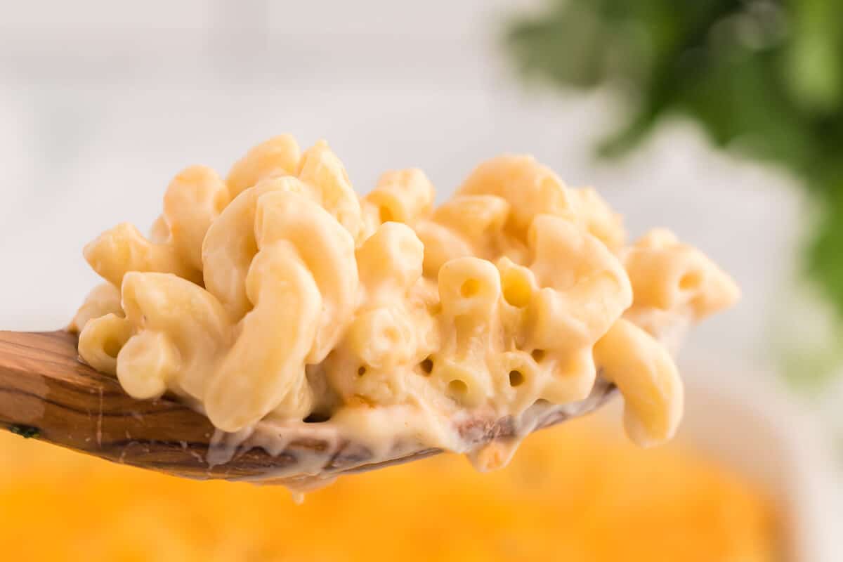 Baked Macaroni and Cheese - This old-fashioned classic recipe is a family favorite dinner and so easy to make. Tender elbow macaroni noodles are enveloped in an ultra creamy homemade cheese sauce and covered with melted cheddar cheese.