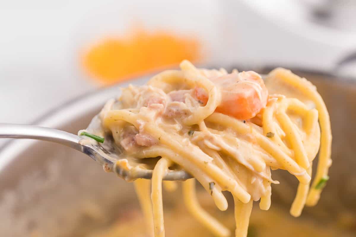 Crack Chicken Spaghetti Recipe - One bite and you'll be hooked! This easy and delicious dinner recipe is creamy, cheesy and addictive. It's loaded with chicken, bacon, veggies and spaghetti noodles in a flavorful cream cheese based sauce.