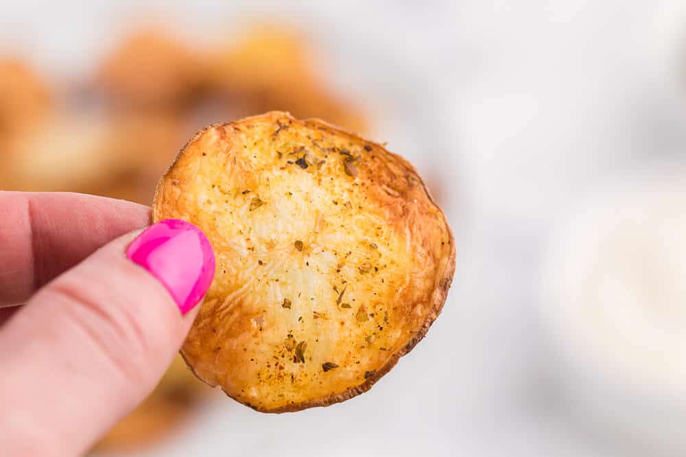 A hand holding a chip.
