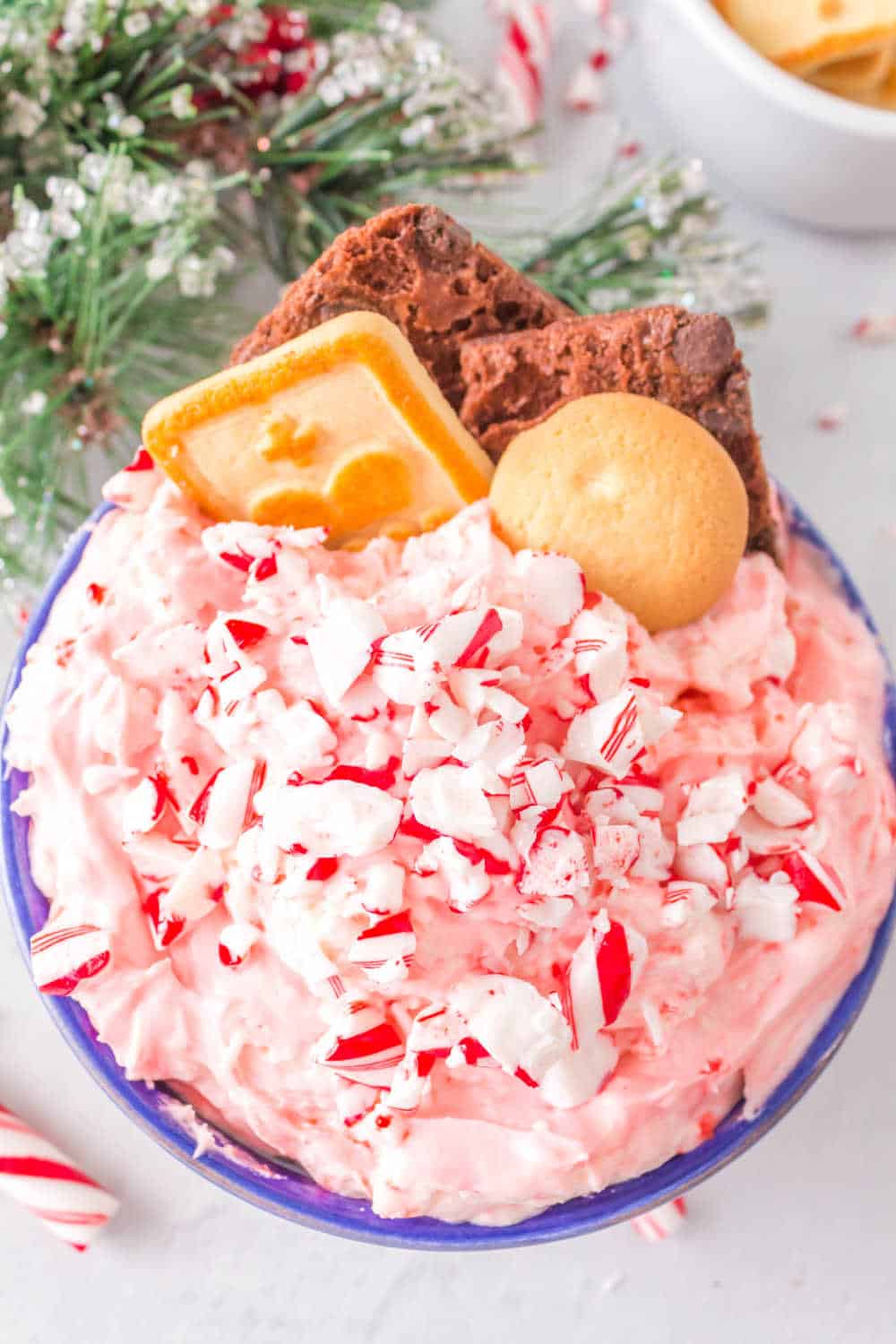 cookies dipped in candy cane dip