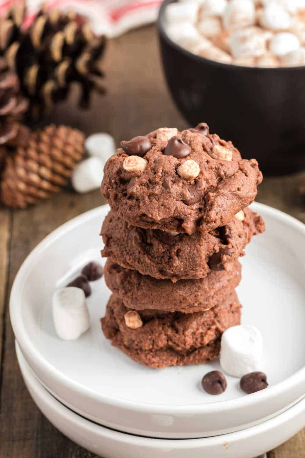 a stack of hot chocolate cookies