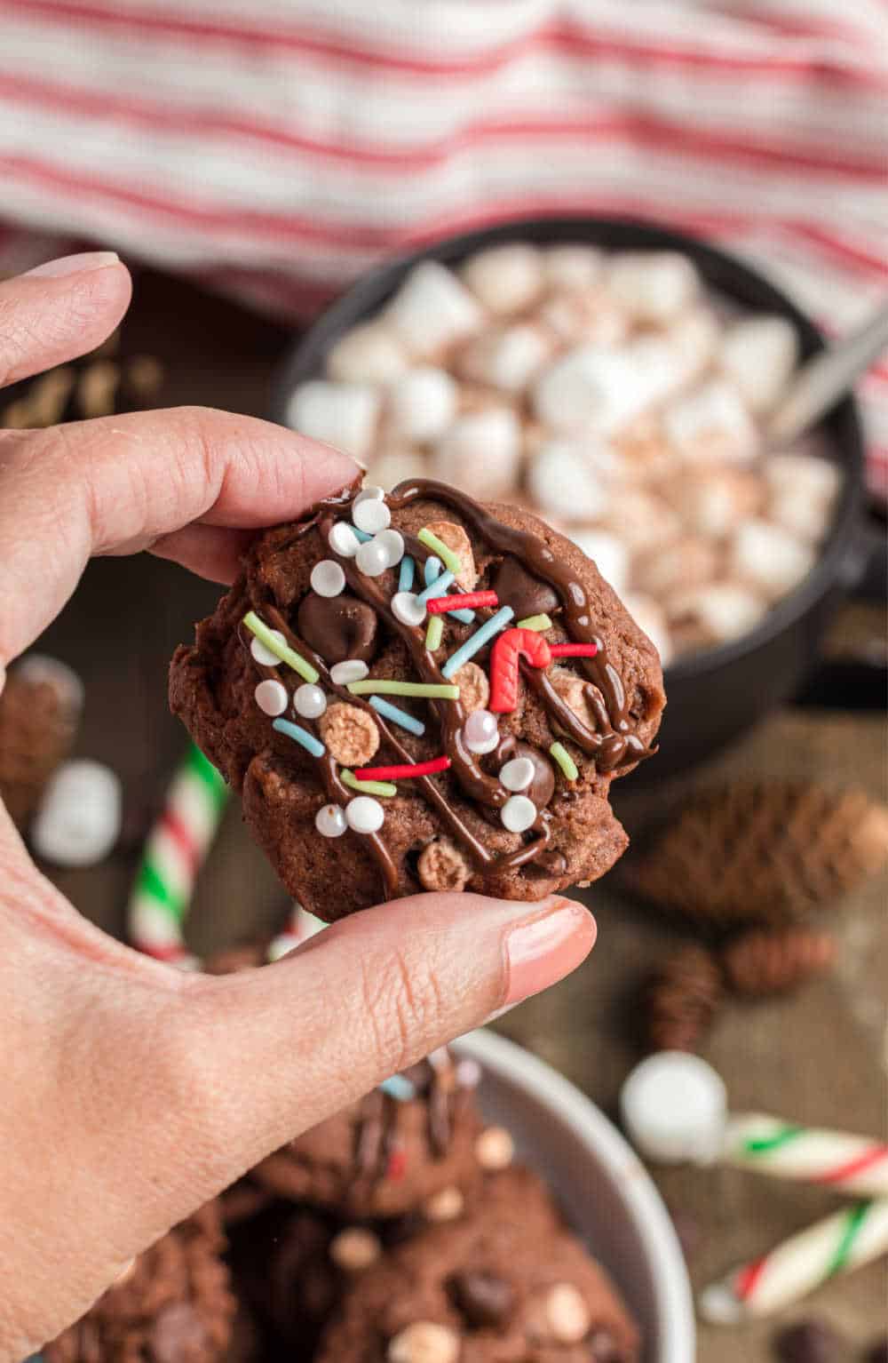 a hand holding a hot chocolate cookie