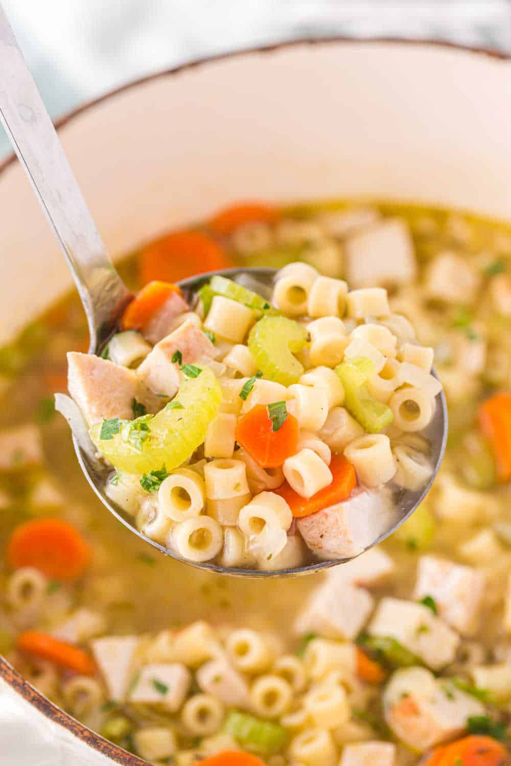 Leftover Turkey Soup on a ladle