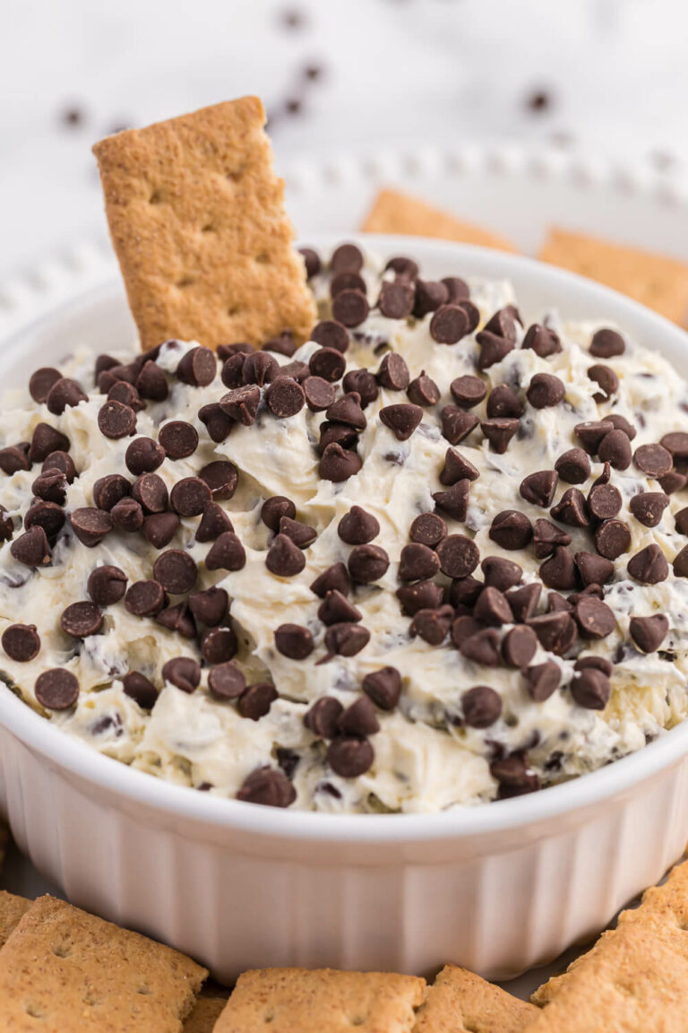 The dip in a bowl with a graham cracker in it.