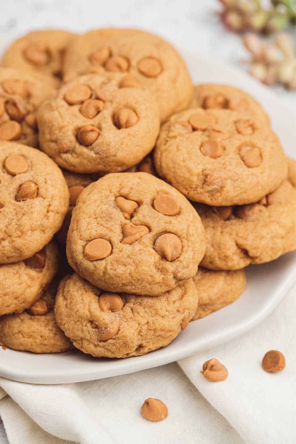 A plate of butterscotch pudding cookies