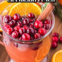 spiced cranberry punch pin