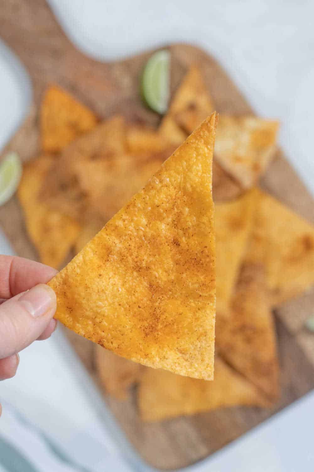 A hand holding a tortilla chip.