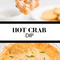 Hot crab dip collage pin.