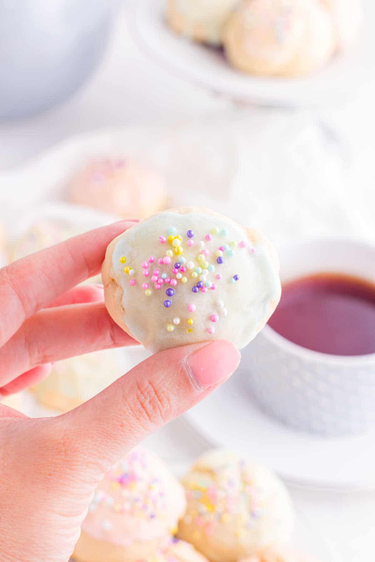 A hand holding an Italian Easter Cookie.