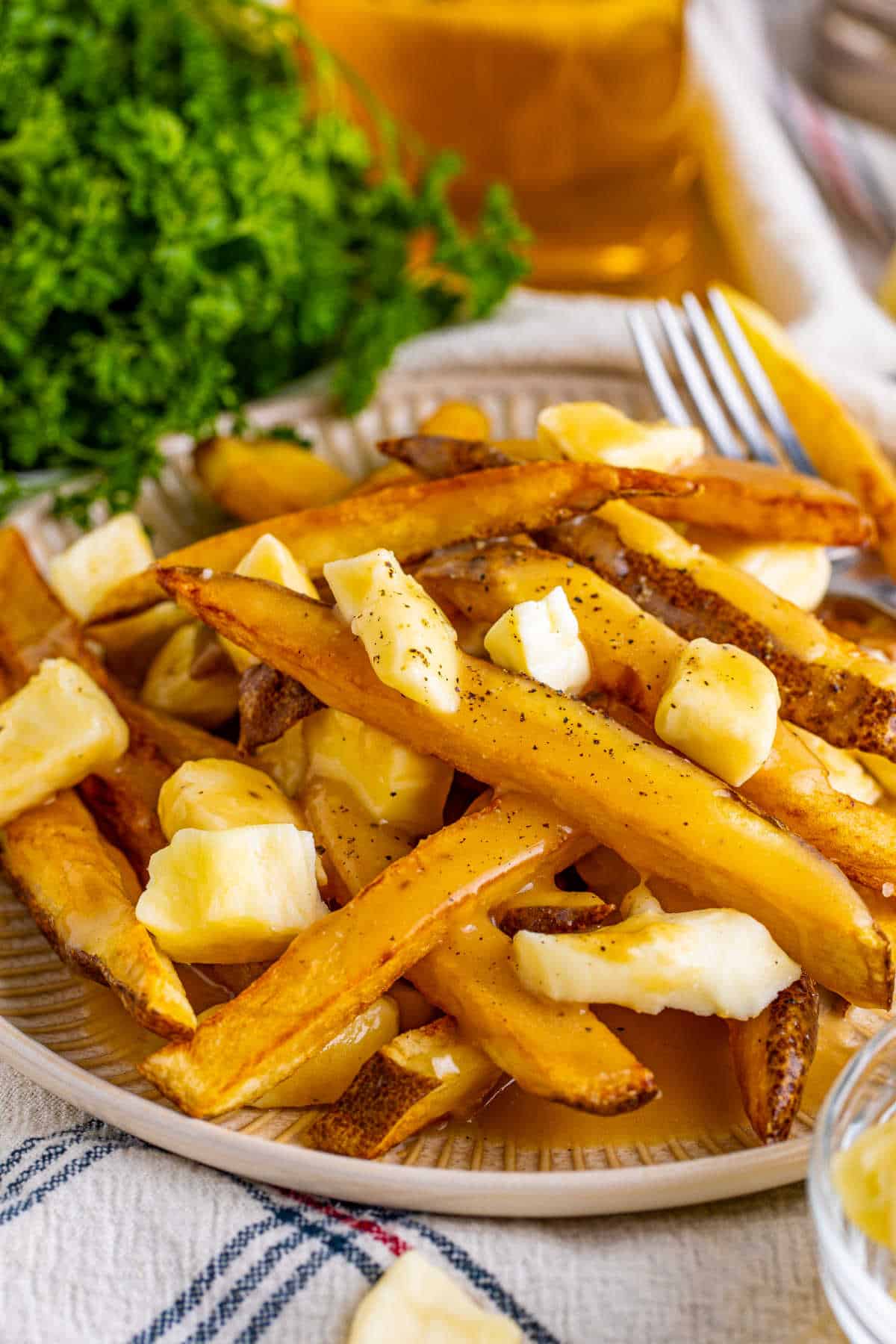 Poutine on a plate.