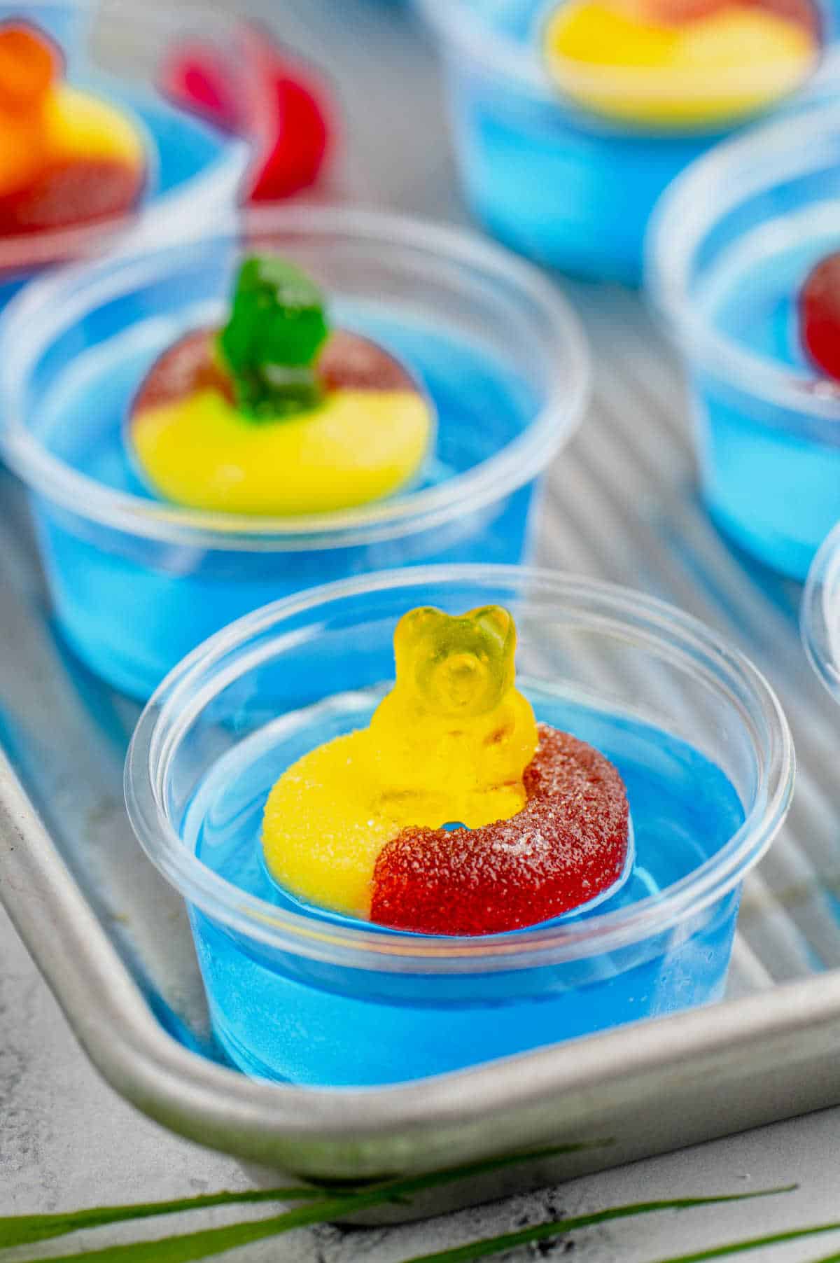 Pool party jello shots on a baking tray.
