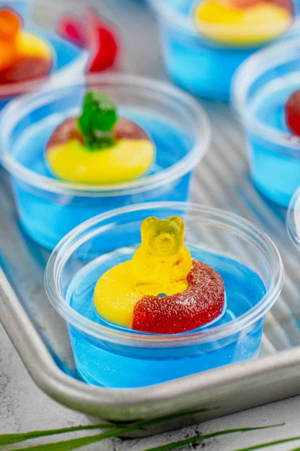 Pool Party Jello Shots {With Vodka} - Simply Stacie