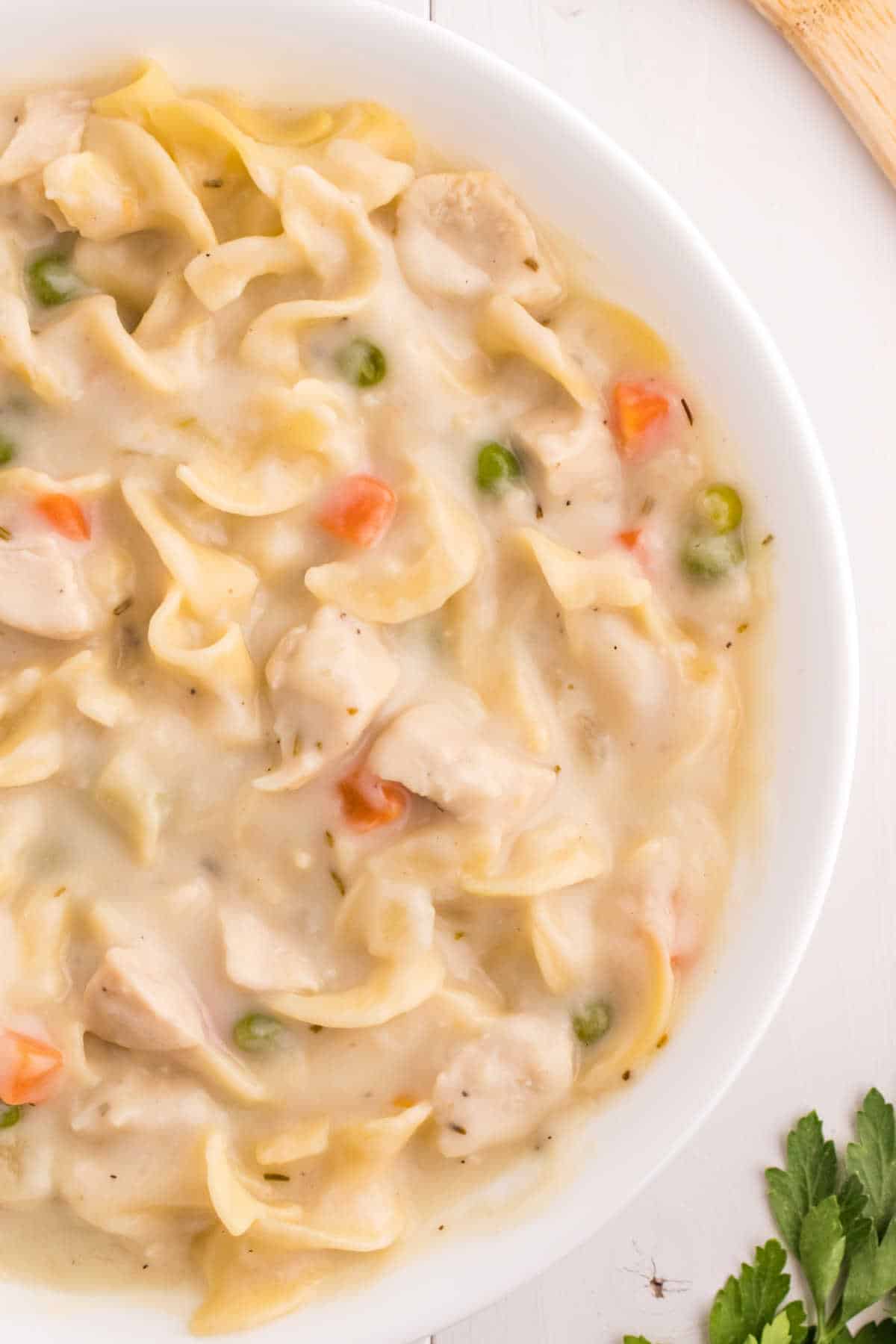 A bowl of creamy chicken noodle soup.