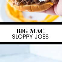 Big Mac Sloppy Joe collage pin.