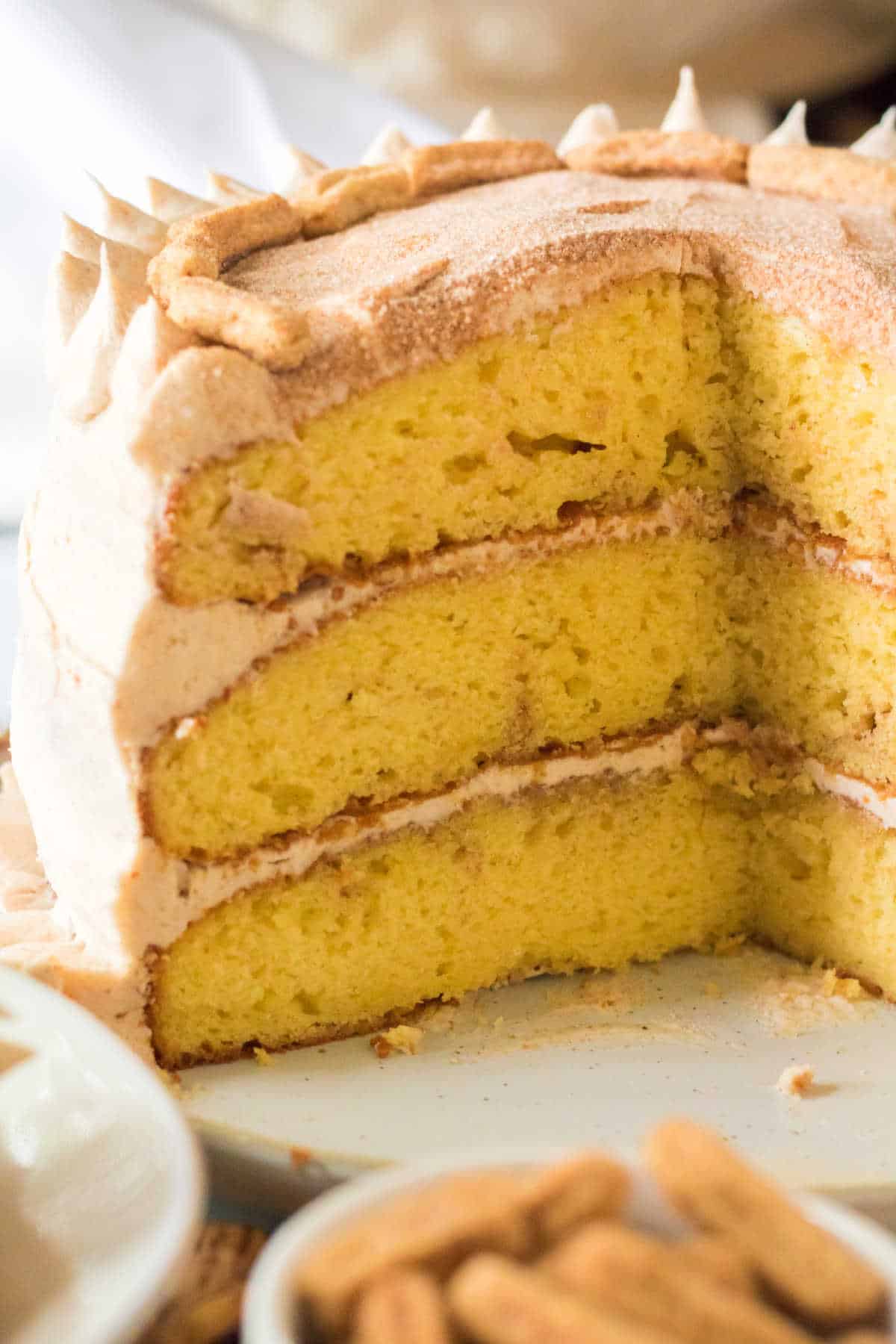 A snickerdoodle cake with pieces cut out of it.