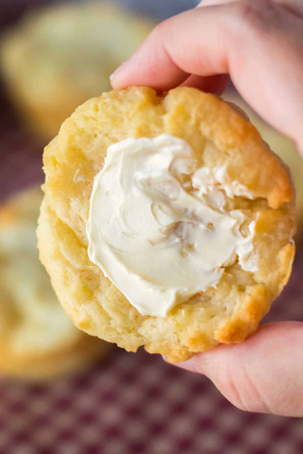 A hand holding a buttered sour cream biscuit.