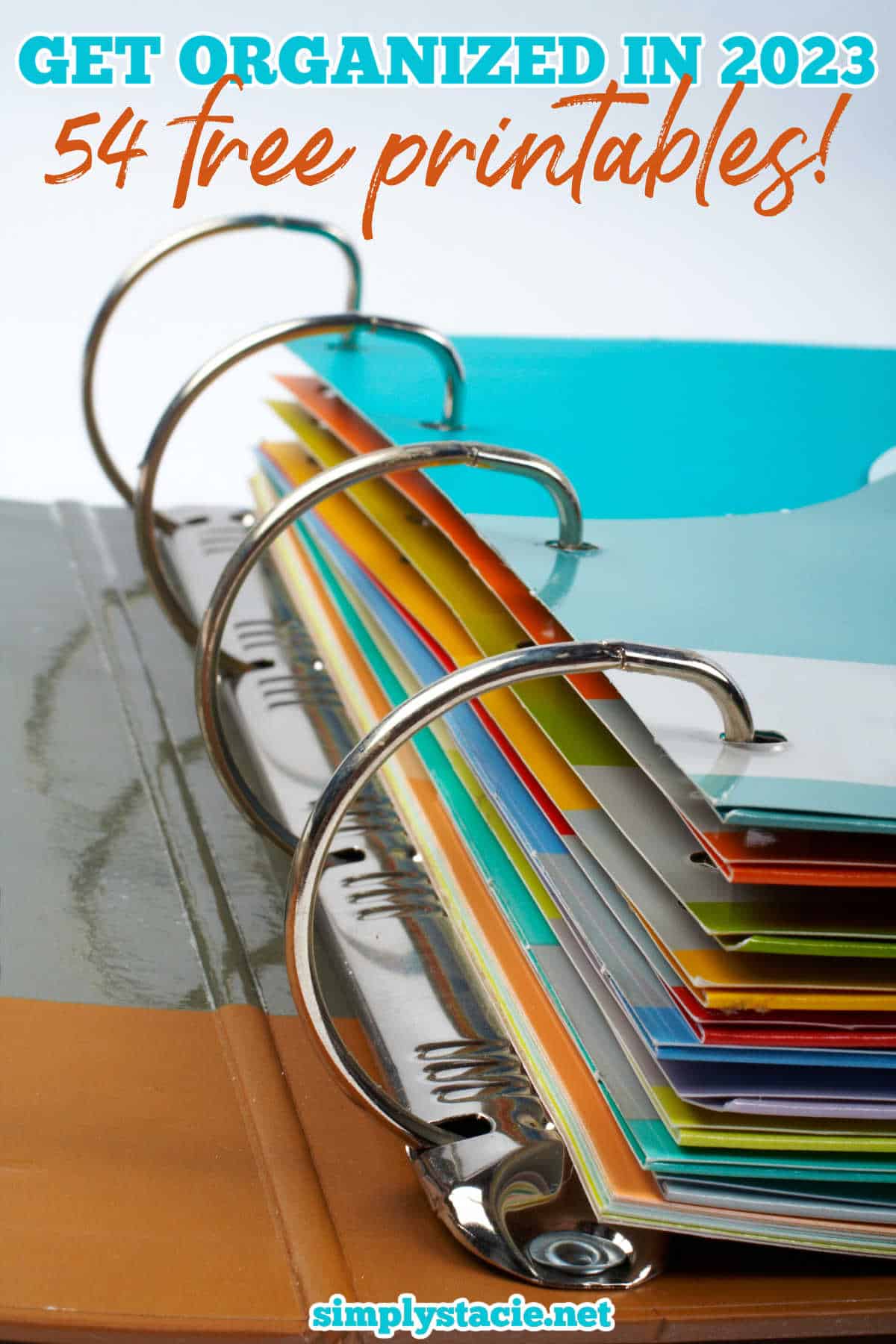 Colorful dividers in a 3 ring binder.