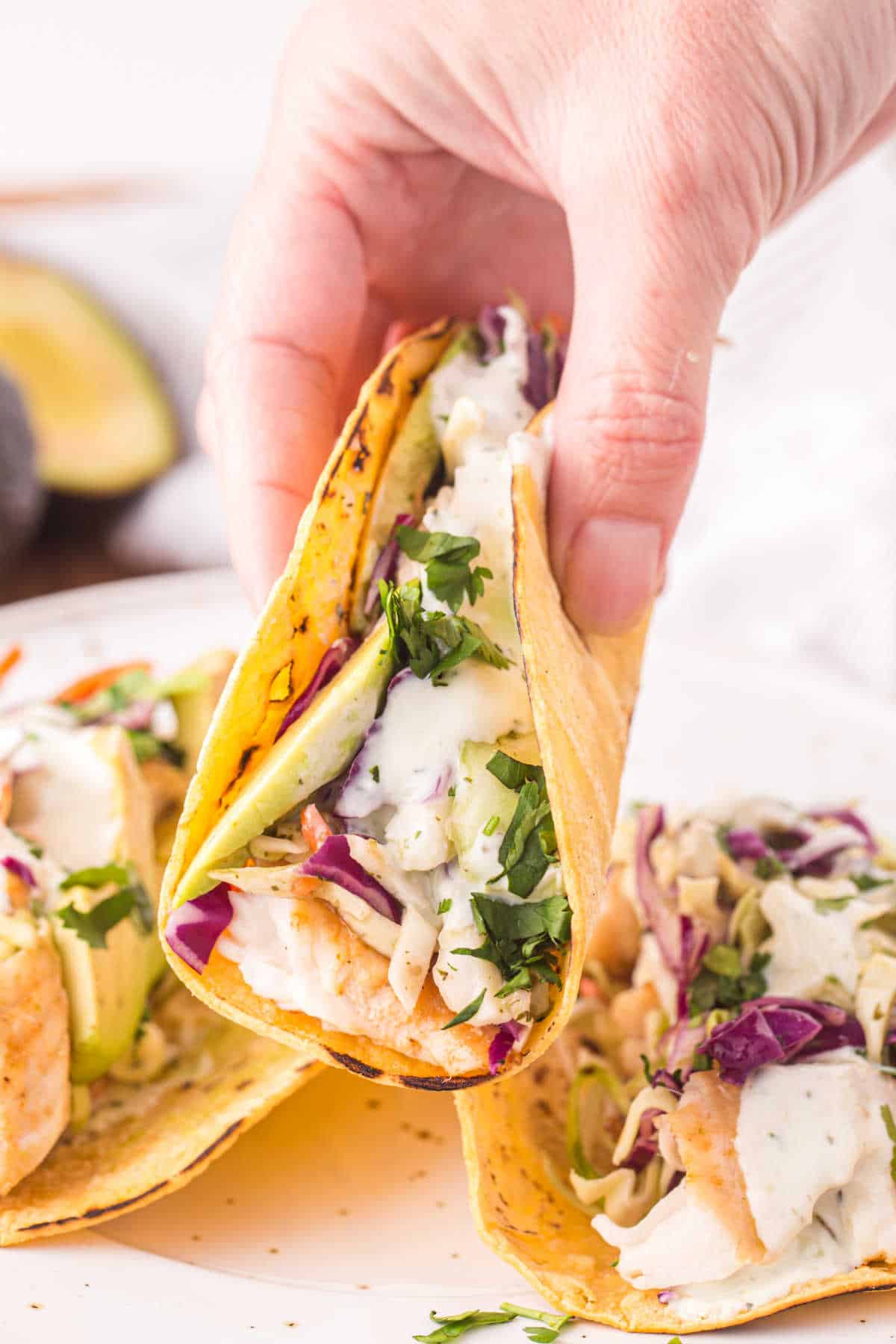 A hand holding a fish taco.