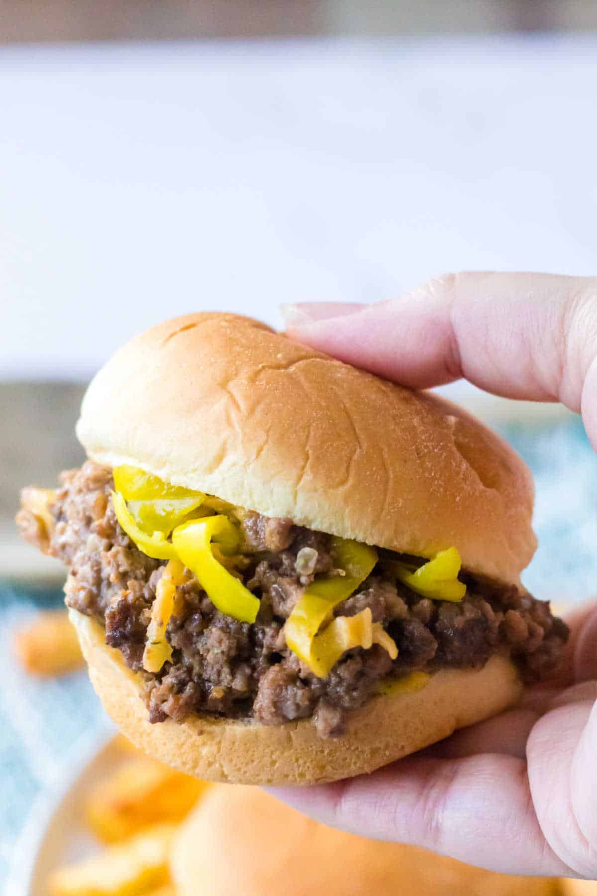 A hand holding a Mississippi Sloppy Joe.