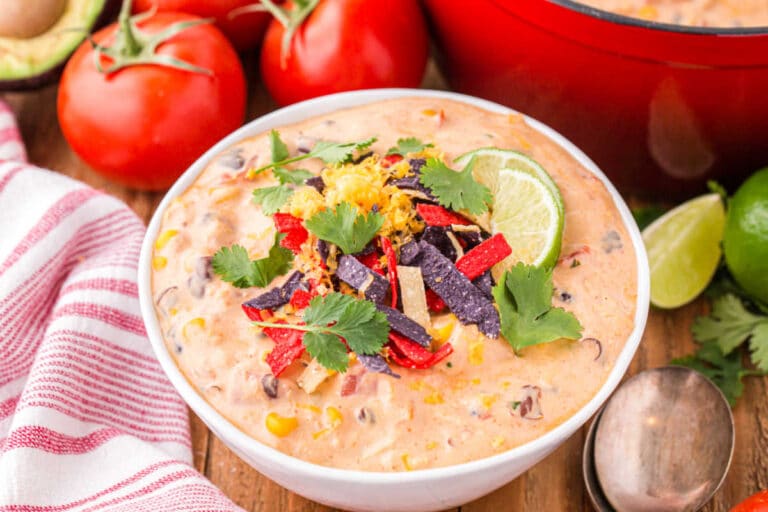 Chicken Enchilada Soup