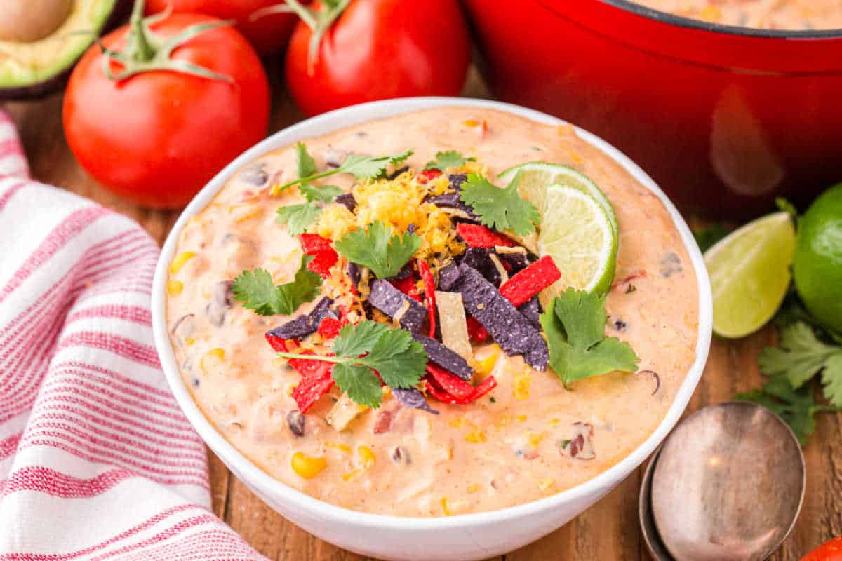 Creamy Chicken Enchilada Soup Recipe