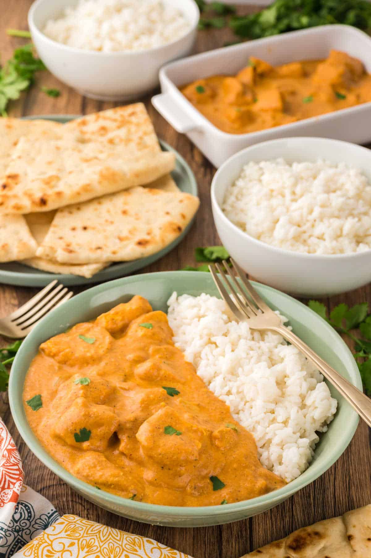 Butter chicken and rice on a plate.