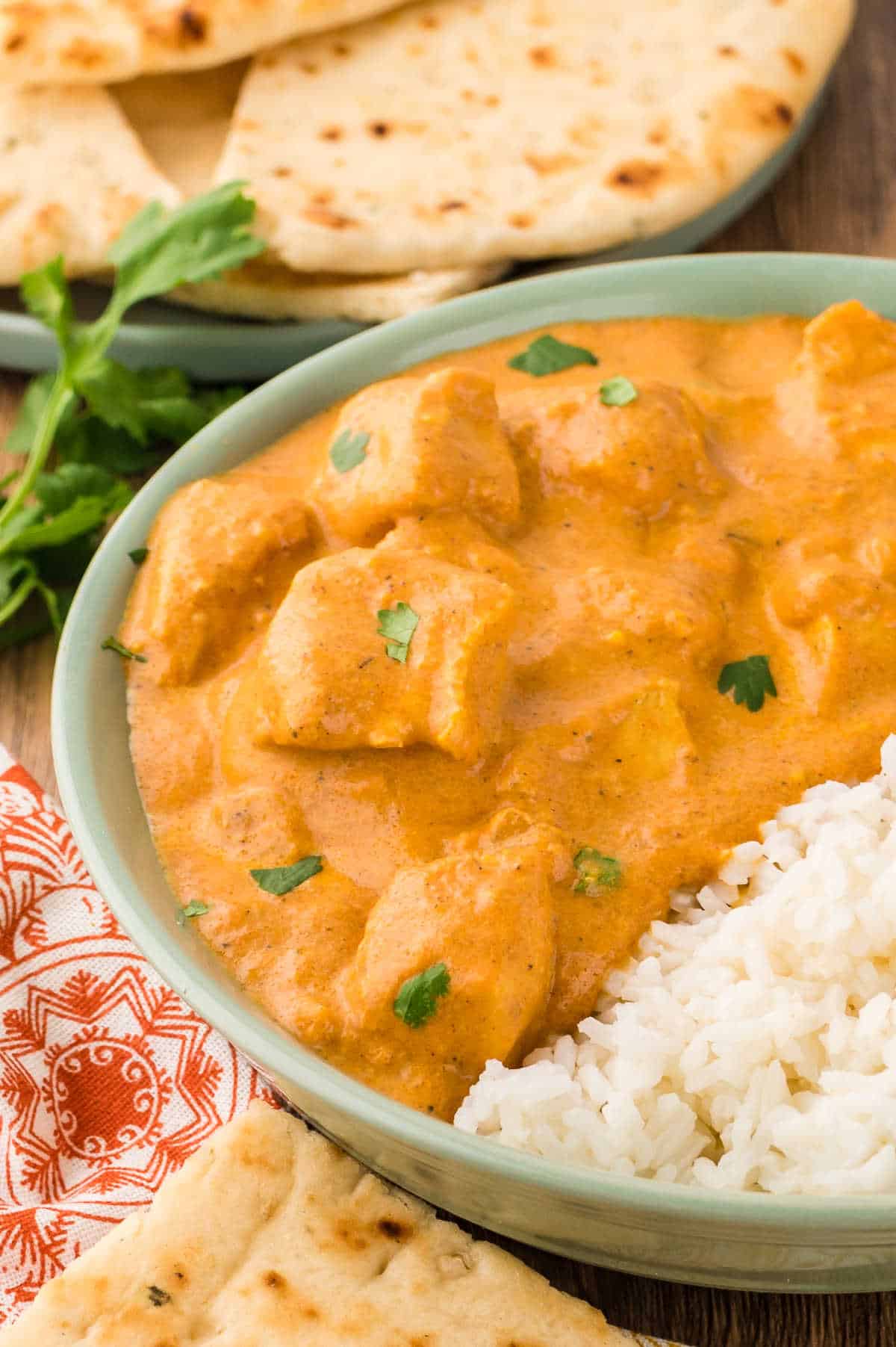 Butter chicken with rice on a plate.