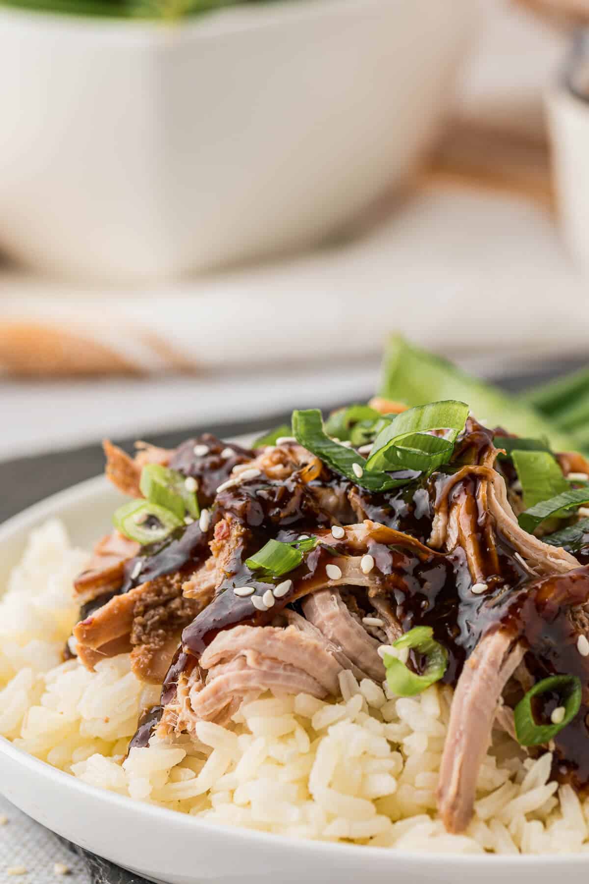 A bowl of shredded Asian pork tenderloin on a bed of white rice.