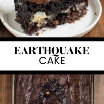 Earthquake Cake pin collage image.